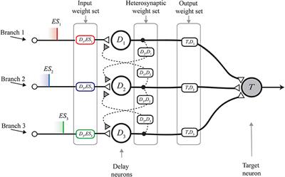 nMNSD—A Spiking Neuron-Based Classifier That Combines Weight-Adjustment and Delay-Shift